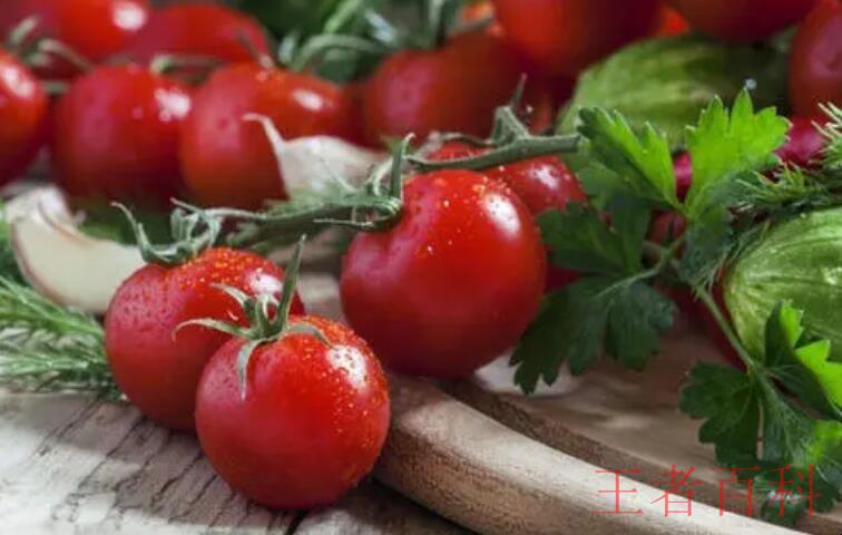 “tomato”的复数形式是什么