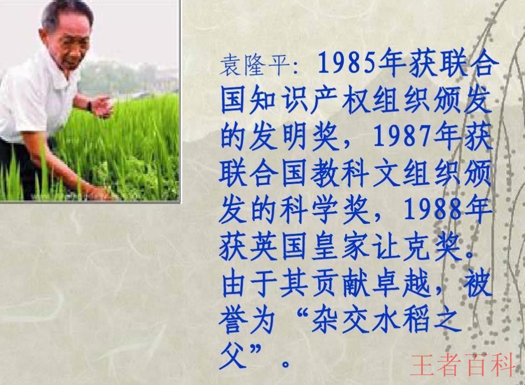 杂交水稻之父的故事是什么