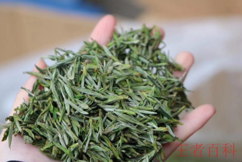 安徽茶种类有哪些