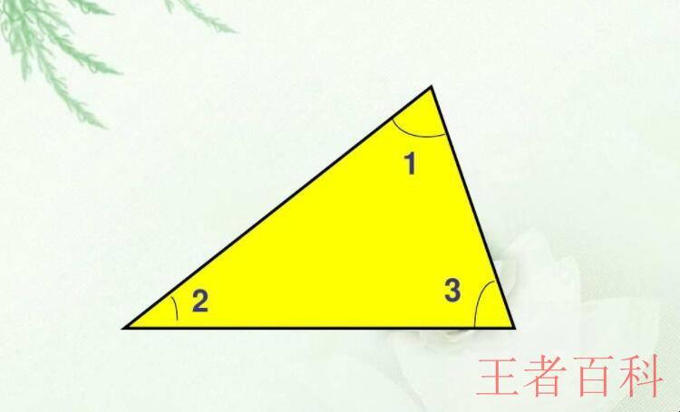 三角形的中线有什么特点