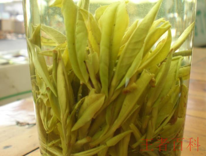 黄山茶叶也有哪些品种