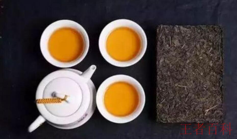 什么人不能喝茯茶