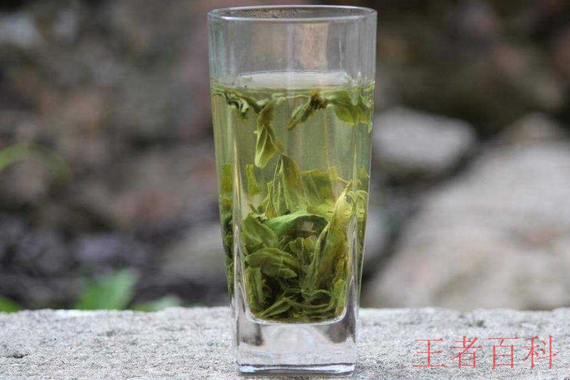 南山寿眉茶