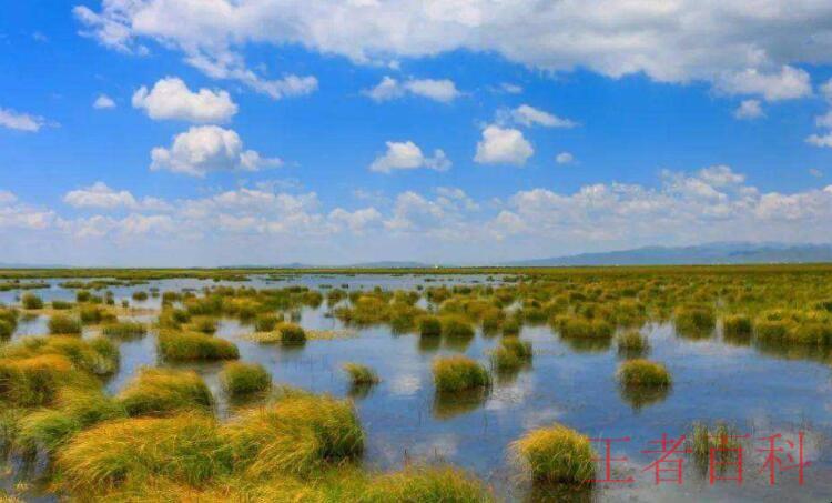 中国湿地有哪些类型