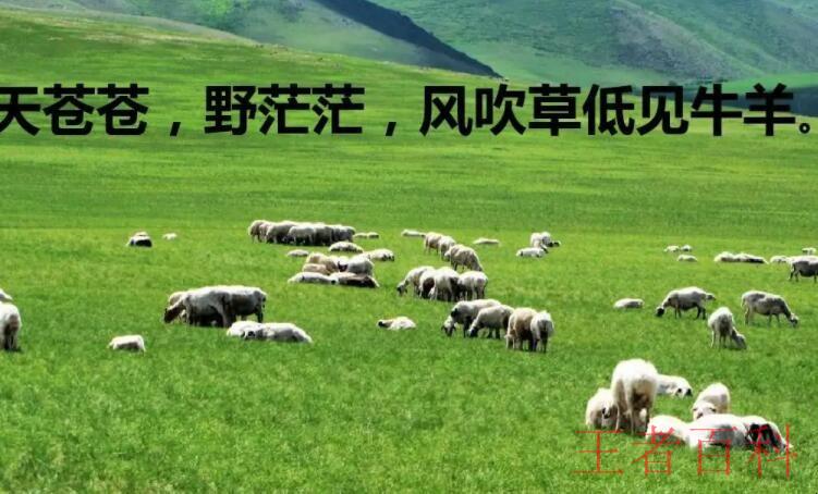 风吹草低见牛羊是什么意思