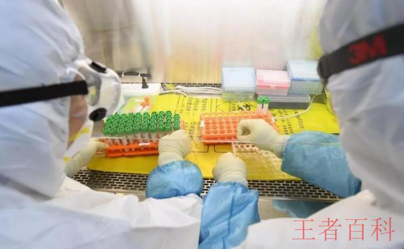 上海新冠肺炎检测要多久