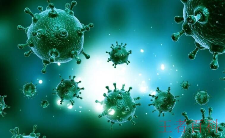 怎么预防新型冠状病毒