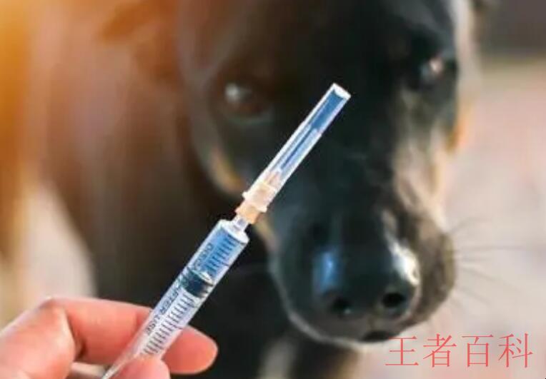 狂犬疫苗是免费的吗