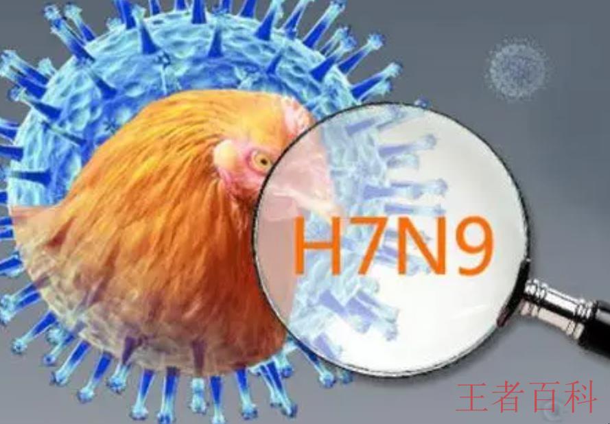 H7N9基因疫苗