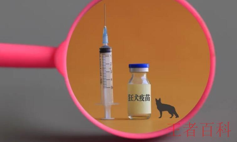孕妇打狂犬病疫苗对胎儿有影响吗
