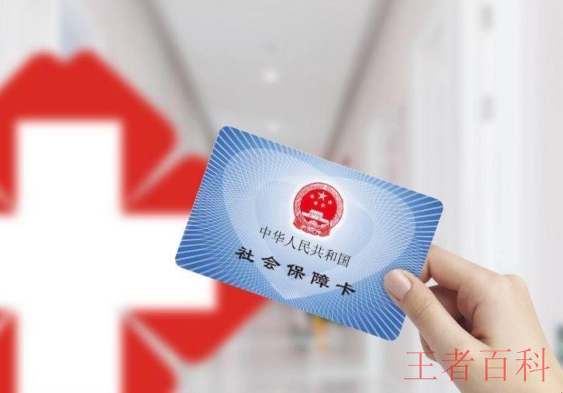 中国税务医保缴费app特点是什么