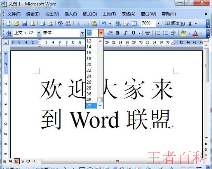 Word2003文档怎么放大字体