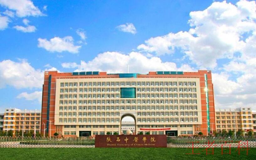 陕西中医药大学是几本