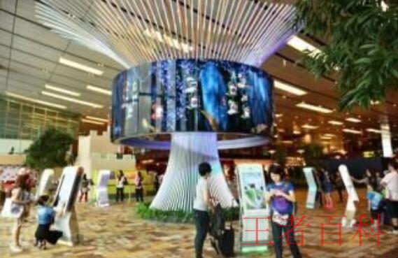 如何在新加坡樟宜机场悠闲地度过候机时光