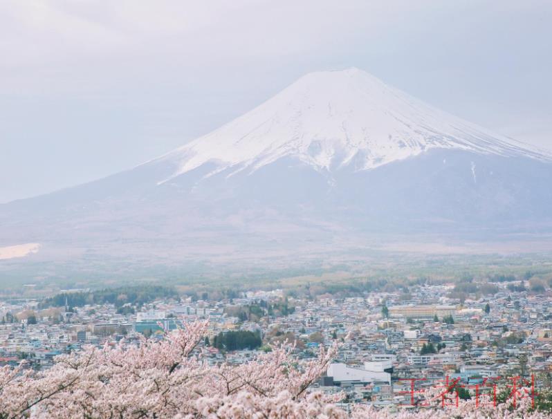 谁能凭爱意要富士山私有是什么意思