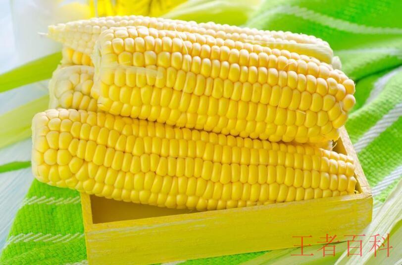 今天玉米价格是多少钱一斤