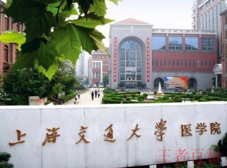 上海交大医学院是怎么样的大学